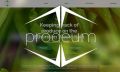 Thumbnail for version as of 09:56, 1 September 2023