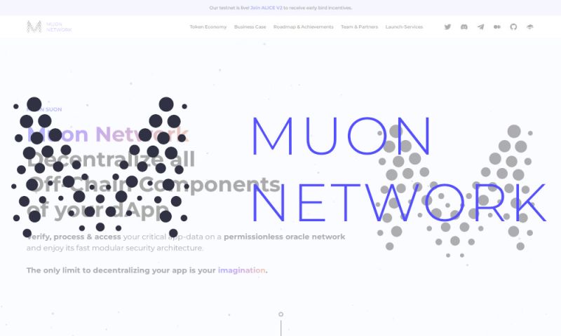 File:Muonnetwork.jpg